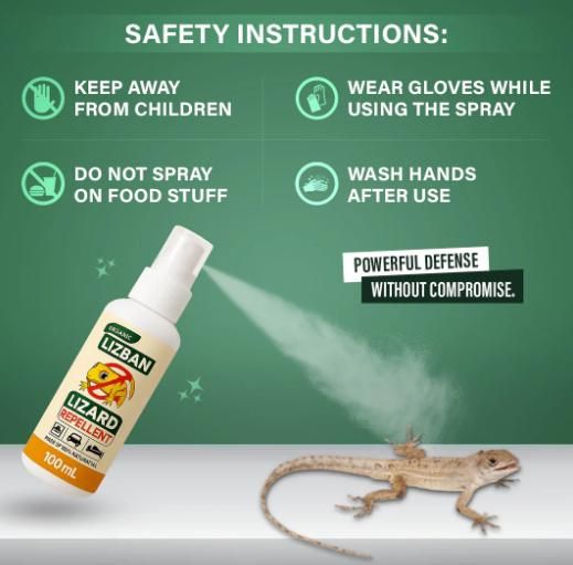 🦎❌ Lizard Repellent Spray – 100ml (Pack of 2) 🛡️🌿 Keep Lizards Away, Stay Pest-Free ✨🏠