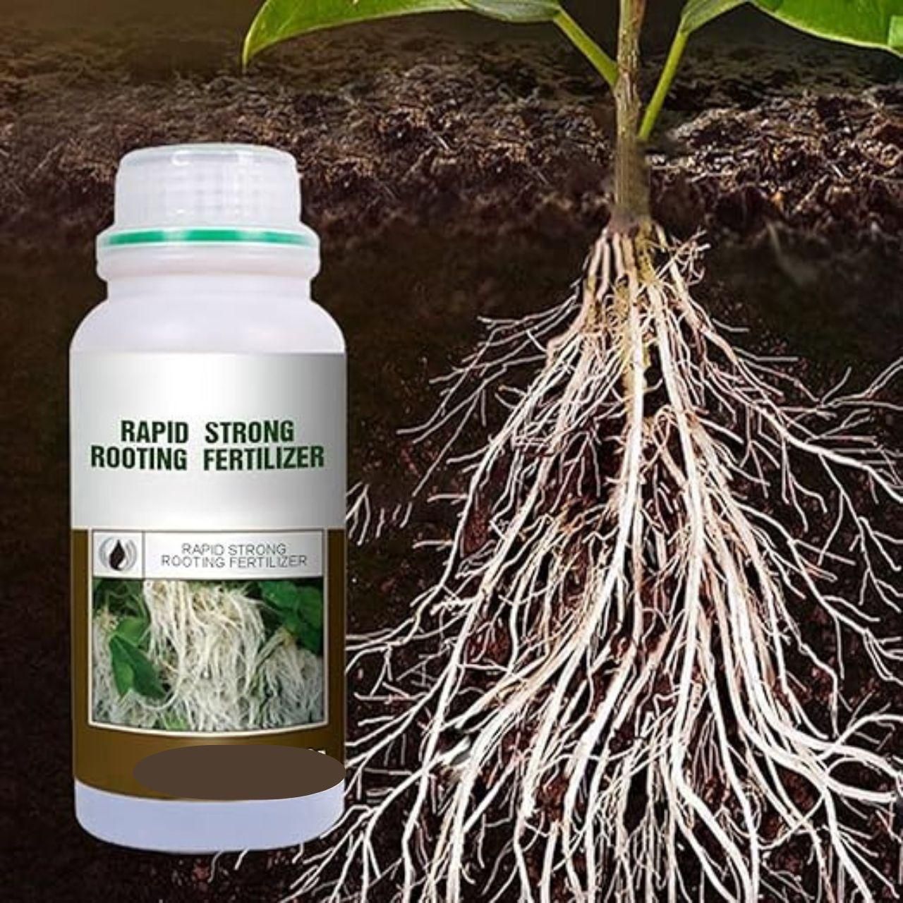 🌱⚡ Rapid Strong Root Fertilizer – 200g (Pack of 2) 💪🌿