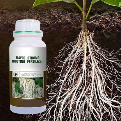 🌱⚡ Rapid Strong Root Fertilizer – 200g (Pack of 2) 💪🌿