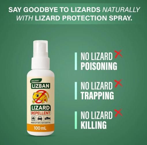🦎❌ Lizard Repellent Spray – 100ml (Pack of 2) 🛡️🌿 Keep Lizards Away, Stay Pest-Free ✨🏠