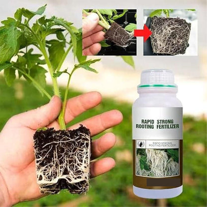 🌱⚡ Rapid Strong Root Fertilizer – 200g (Pack of 2) 💪🌿